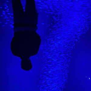 Meet your Posher, Adolfo